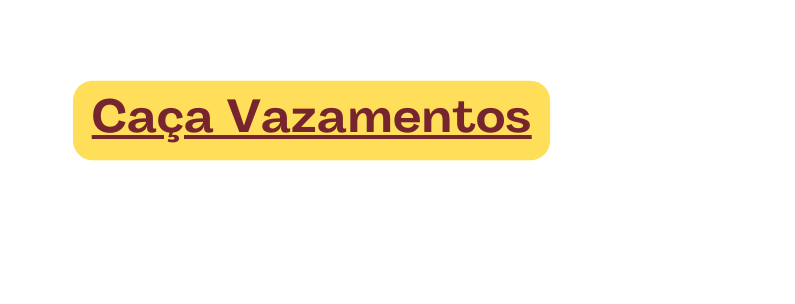 Caça Vazamentos